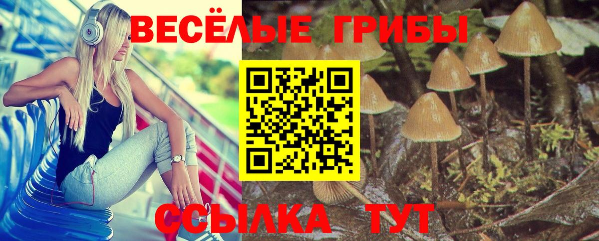 Галлюциногенные грибы GOLDEN TEACHER  Вход с VPN  наркотики  Галлюциногенные грибы прущие грибы  Феодосия 