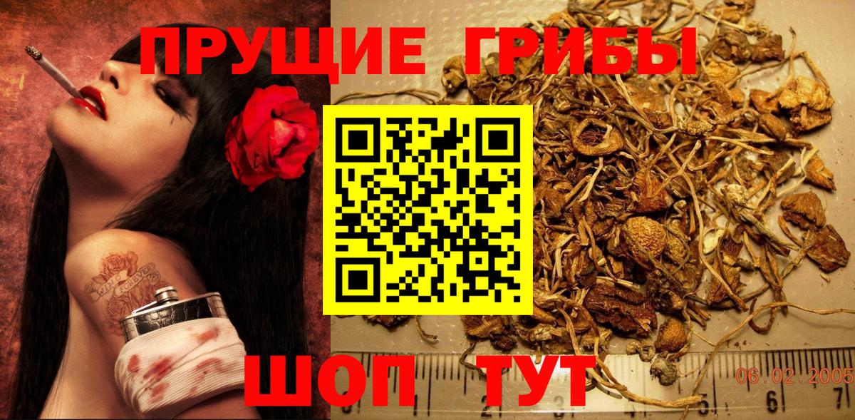 Галлюциногенные грибы GOLDEN TEACHER Феодосия